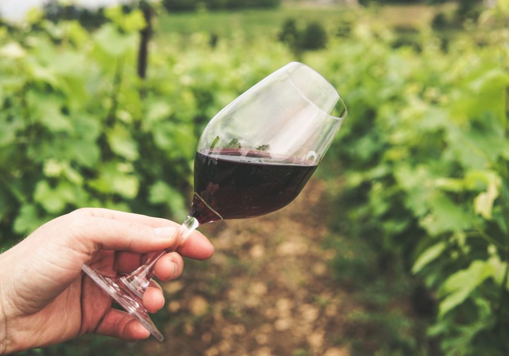 Wine Tasting Kefalonia